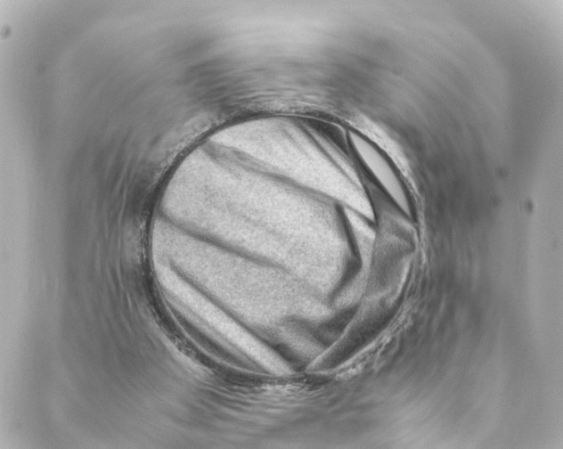 X0000088600105200706221416