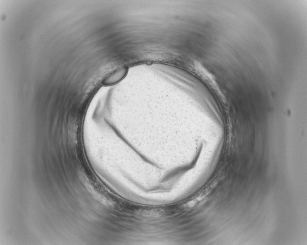 X0000088600106200706221416