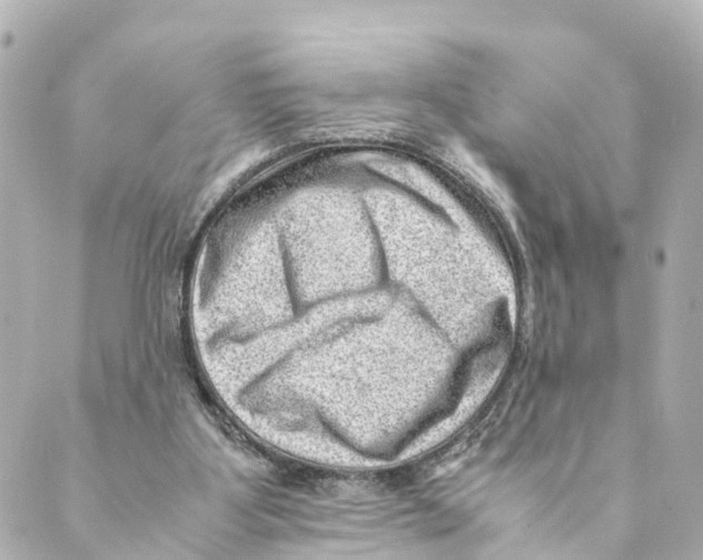 X0000088600107200706221415