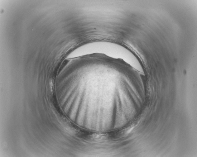 X0000088600117200706221415