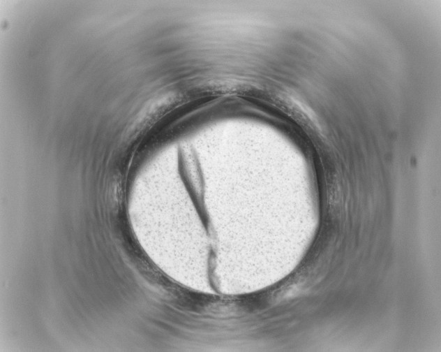 X0000088600119200706221415