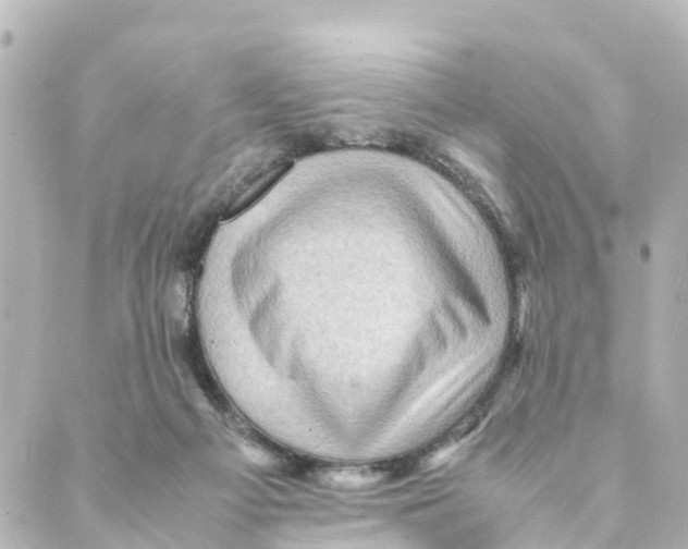 X0000088600121200706221415