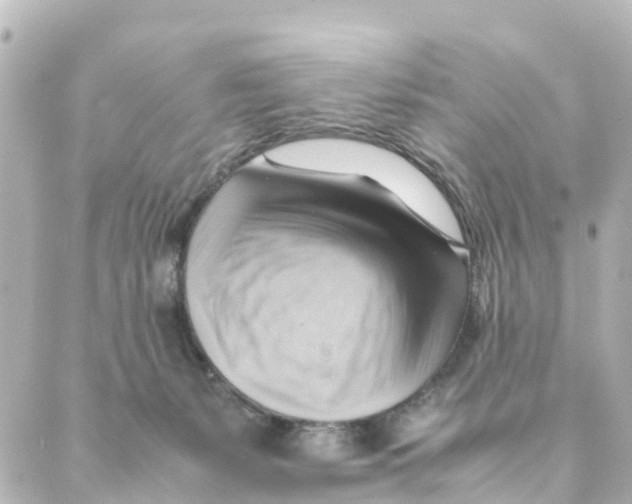 X0000088600127200706221415