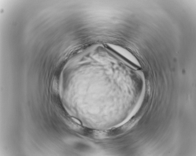 X0000088600143200706221415