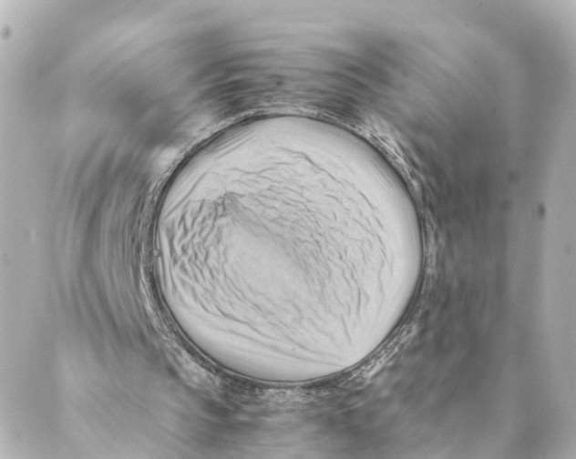 X0000088600145200706221414