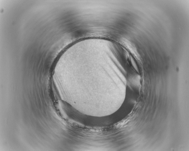 X0000088600156200706221414
