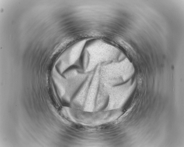 X0000088600158200706221414