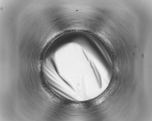 X0000088600160200706221414