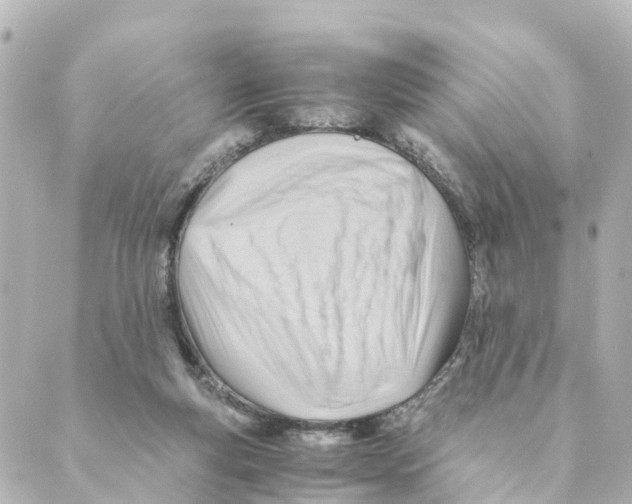X0000088600163200706221414