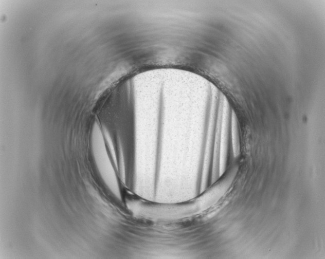 X0000088600164200706221414