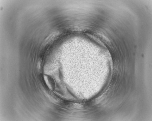 X0000088600166200706221414