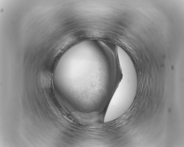 X0000088600168200706221414