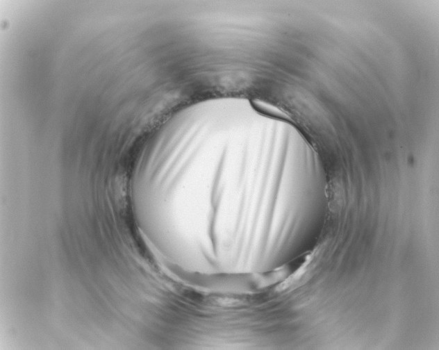 X0000088600184200706221415
