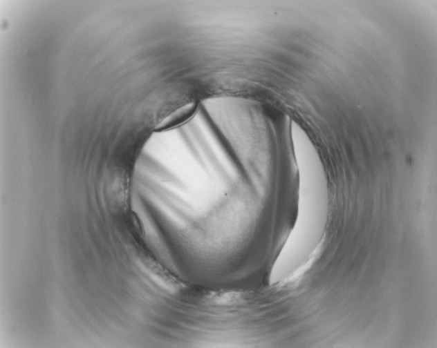X0000088600186200706221415