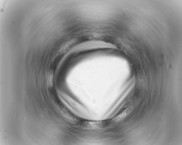X0000088600188200706221415