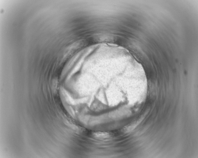 X0000088600189200706221415