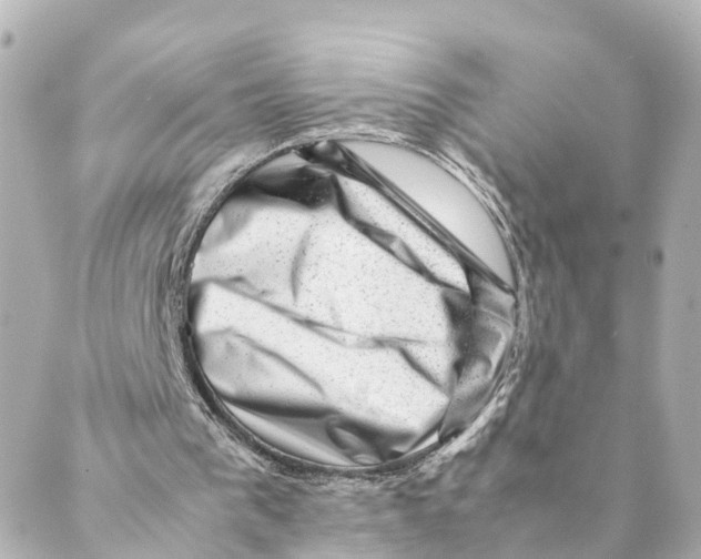X0000088600193200706221414