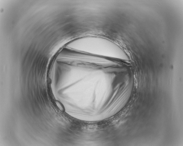 X0000088600196200706221414