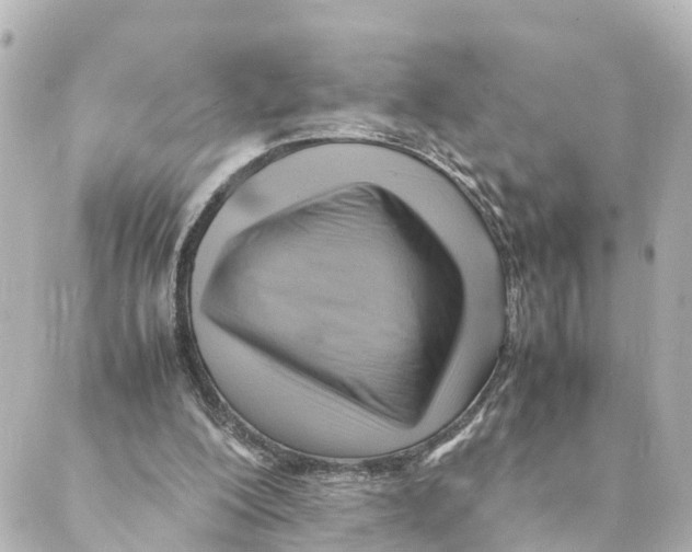 X0000088600200200706221414