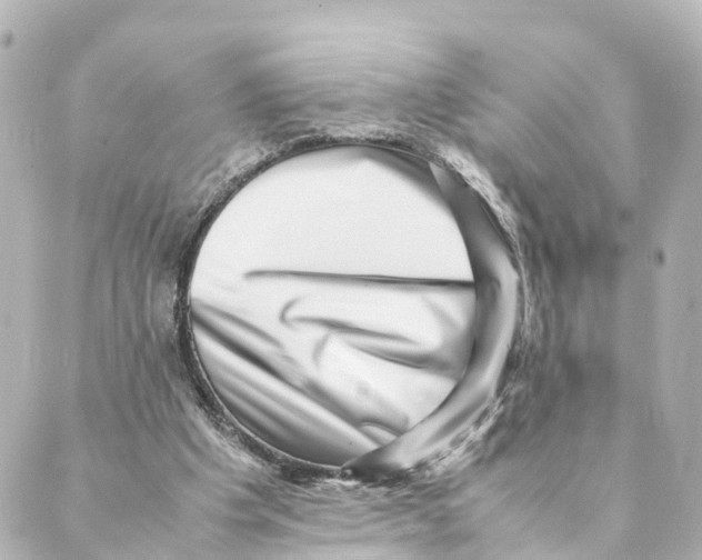 X0000088600201200706221414