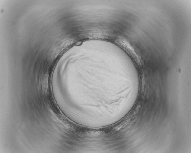 X0000088600202200706221414
