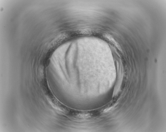 X0000088600213200706221414