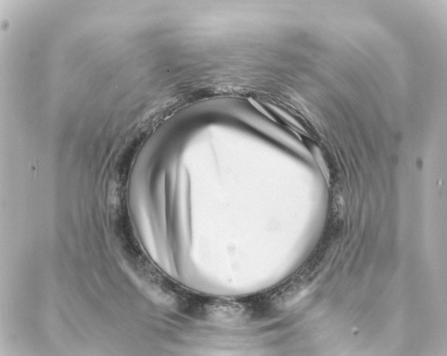 X0000088600215200706221414