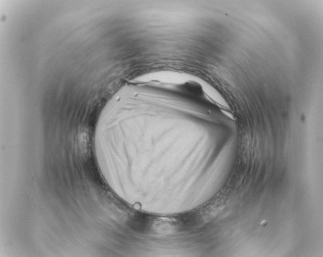 X0000088600222200706221414