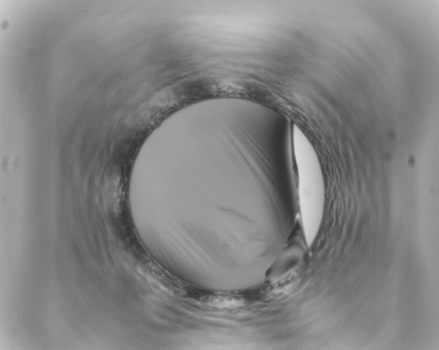 X0000088600223200706221414