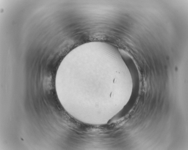X0000088600224200706221414