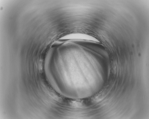 X0000088600232200706221413