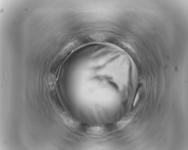X0000088600237200706221413