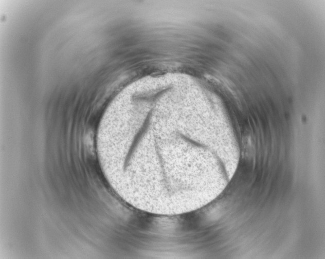 X0000088600238200706221413