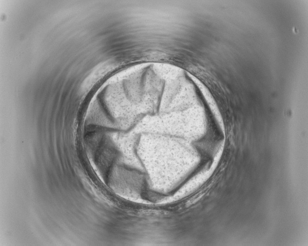 X0000088600242200706221413