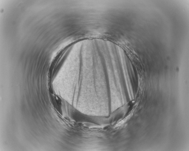 X0000088600244200706221413