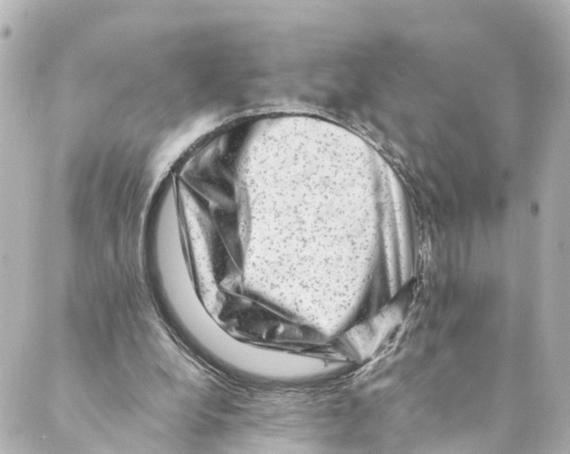 X0000088600248200706221413