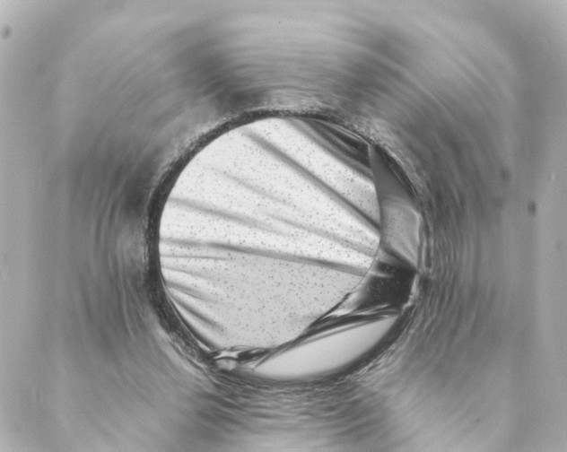 X0000088600252200706221413