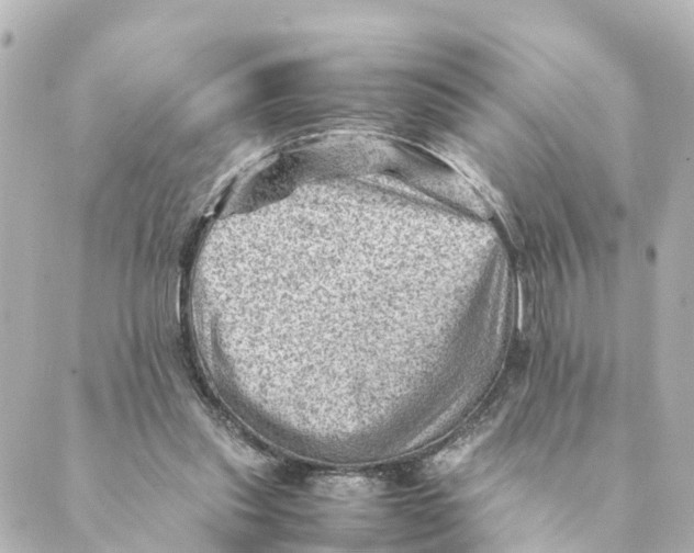 X0000088600253200706221413