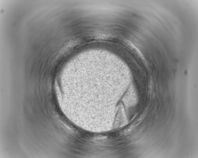 X0000088600257200706221413