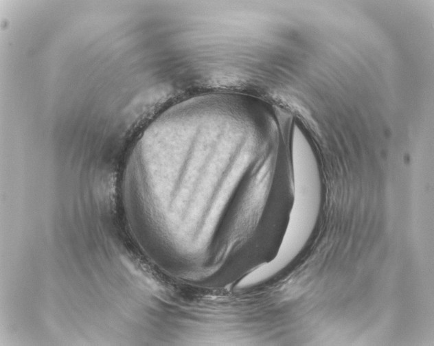 X0000088600260200706221413