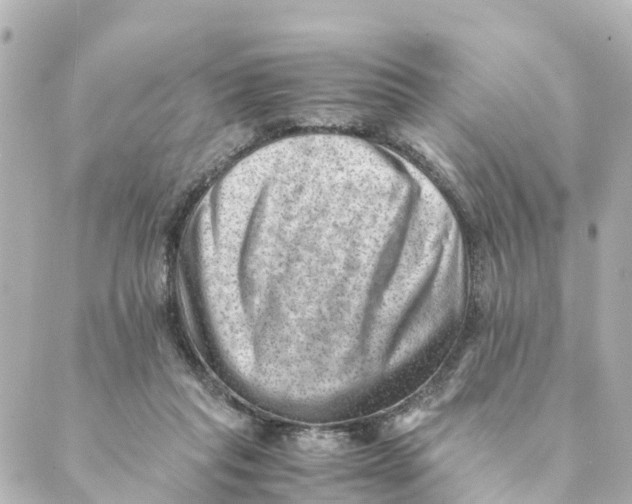X0000088600261200706221413