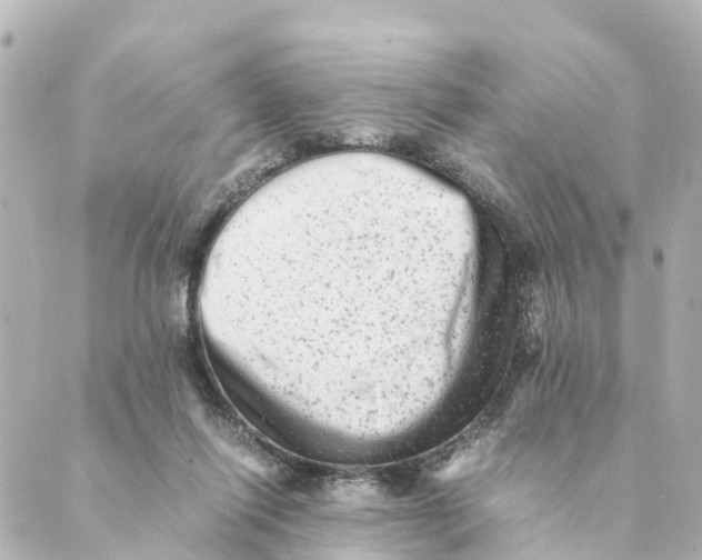 X0000088600262200706221413