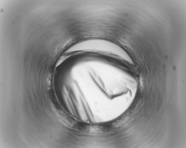 X0000088600264200706221413