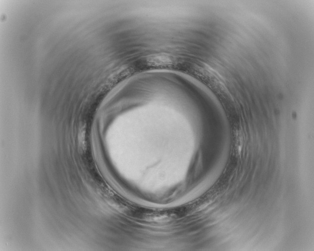X0000088600267200706221413