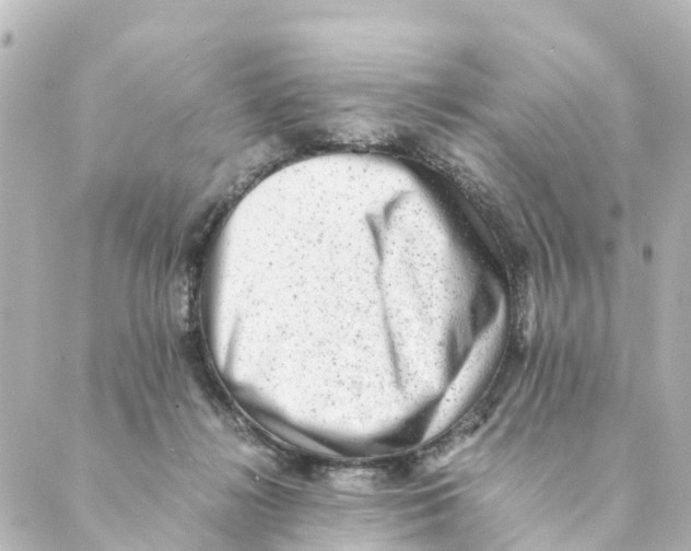 X0000088600268200706221413