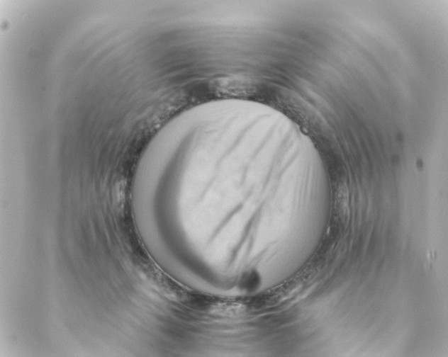 X0000088600271200706221413