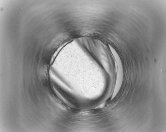 X0000088600280200706221413