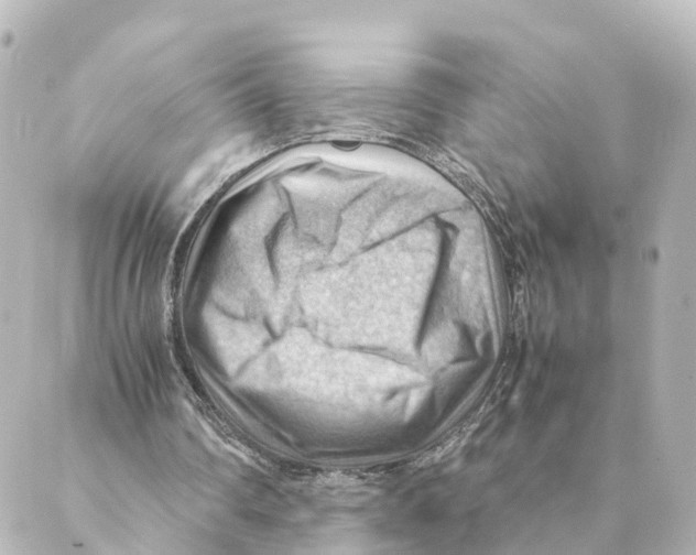 X0000088600290200706221413