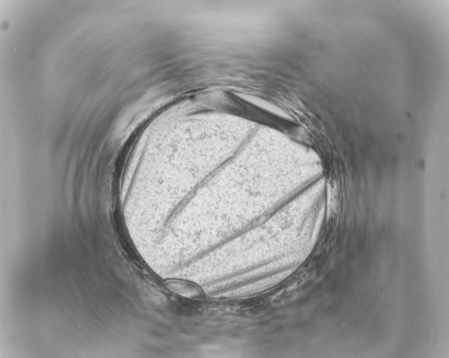 X0000088600291200706221413