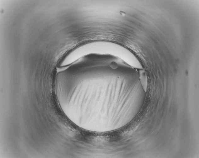 X0000088600303200706221412